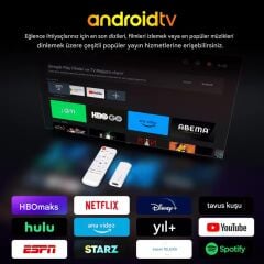 H96Max H313 Mini 4K Tv Stick Android 14 Akıllı Tv Kutusu 2GB+16GB Wifi 6 Google Sesli Komut Netflix Bluetooth Kumanda