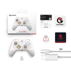 Cyclone 2 Kablosuz Gamepad Oyun Kolu RGB Hall Joystick for PC/Android/iOS/Switch Çoklu Bağlantı Modu